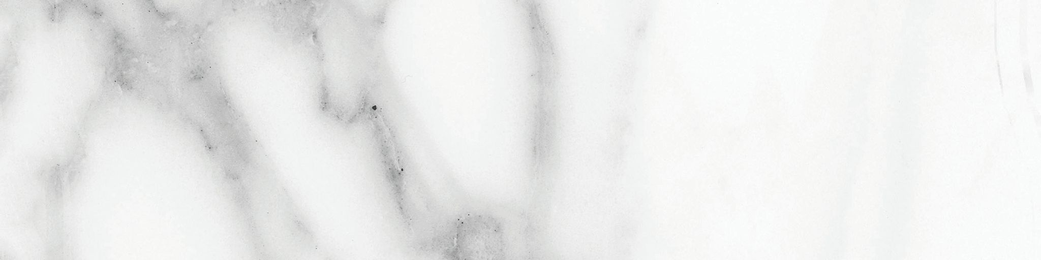 Florence 3x12 Statuario Matte Bullnose | Clon Digital Tile Catalog