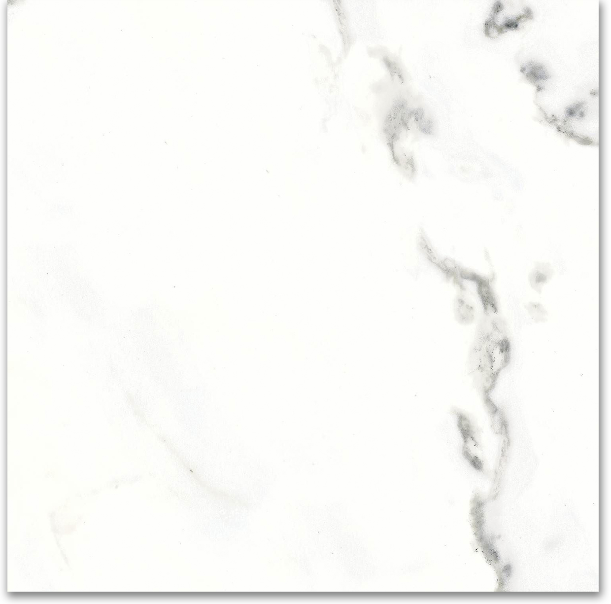 18X18F Calacatta | Clon Digital Tile Catalog