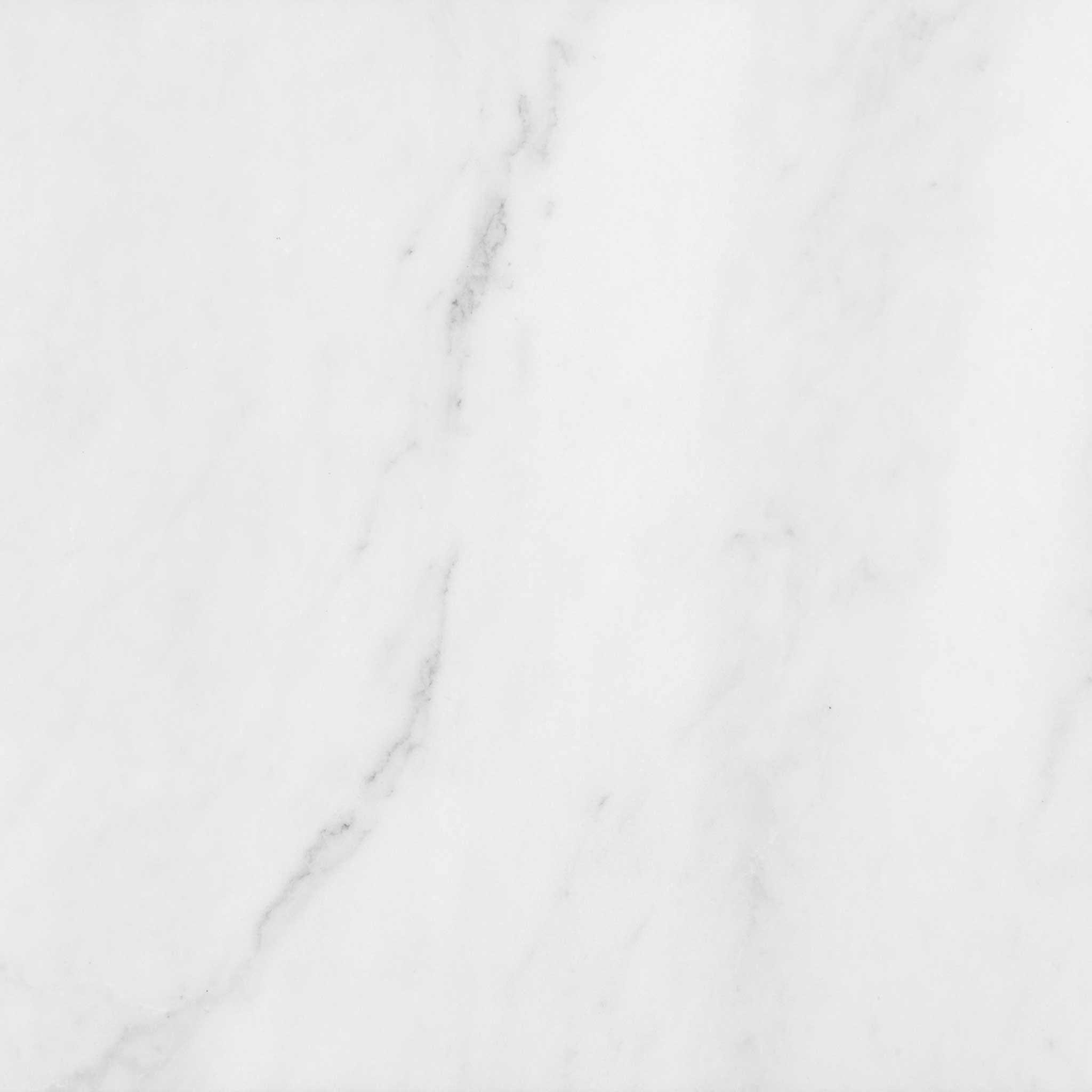 Bianco Venatino 12x12 Honed | Clon Digital Tile Catalog