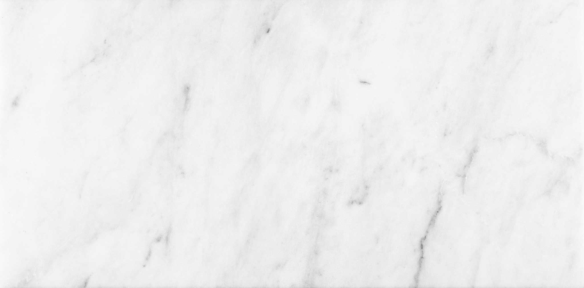 Bianco Venatino 12x24 Honed | Clon Digital Tile Catalog