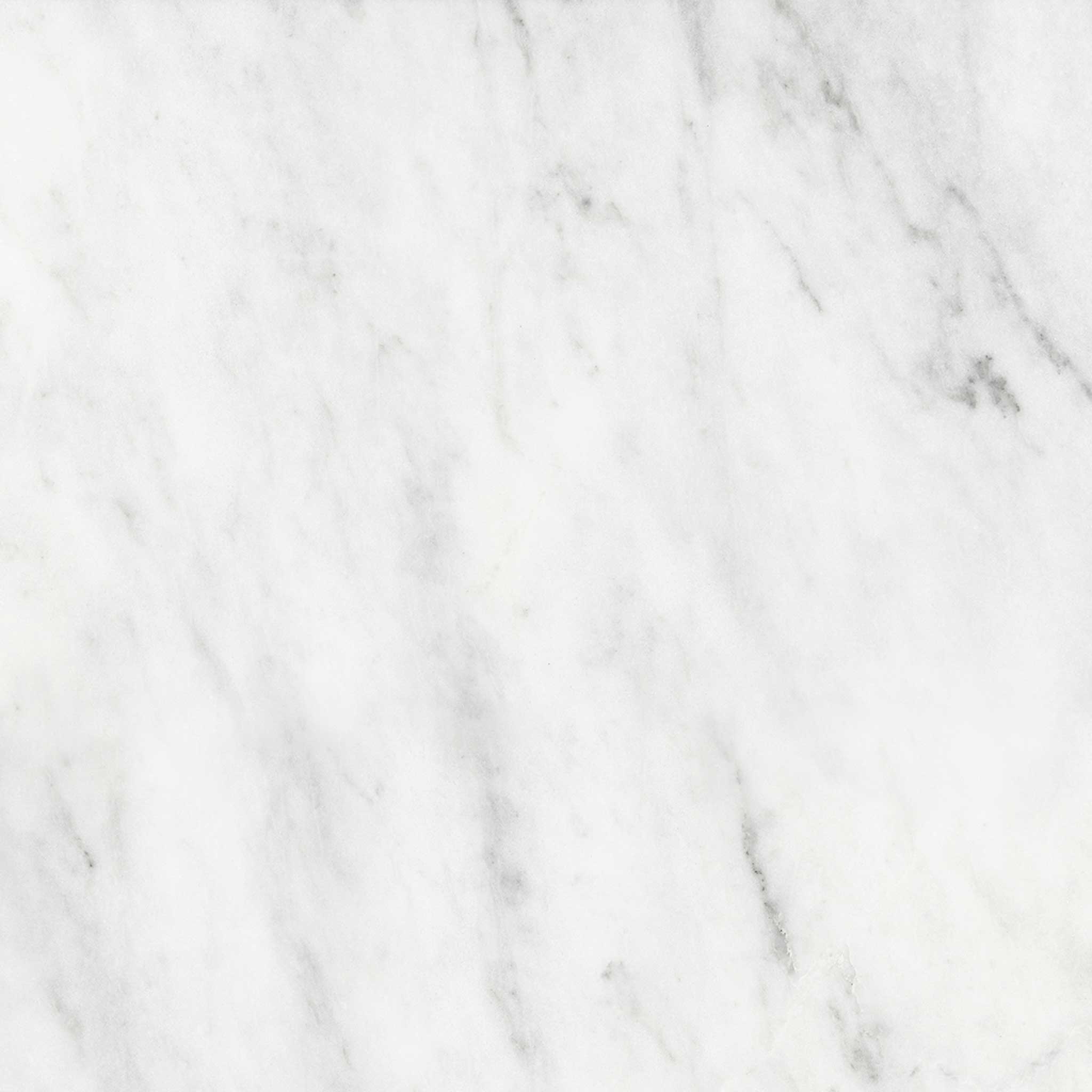 Bianco Venatino 18x18 Honed | Clon Digital Tile Catalog