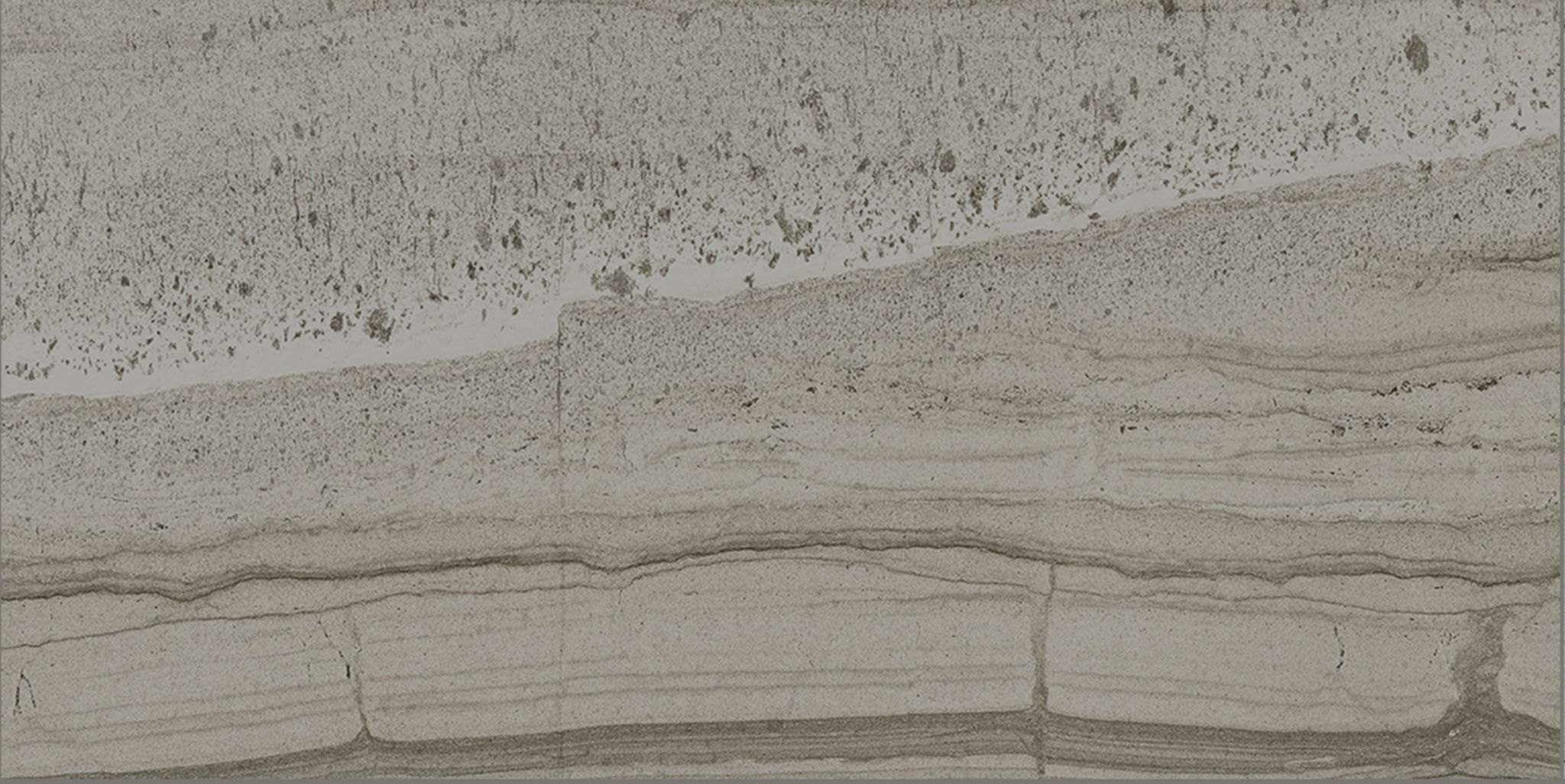 Arcadia 12X24 Trentino Polished | Clon Digital Tile Catalog
