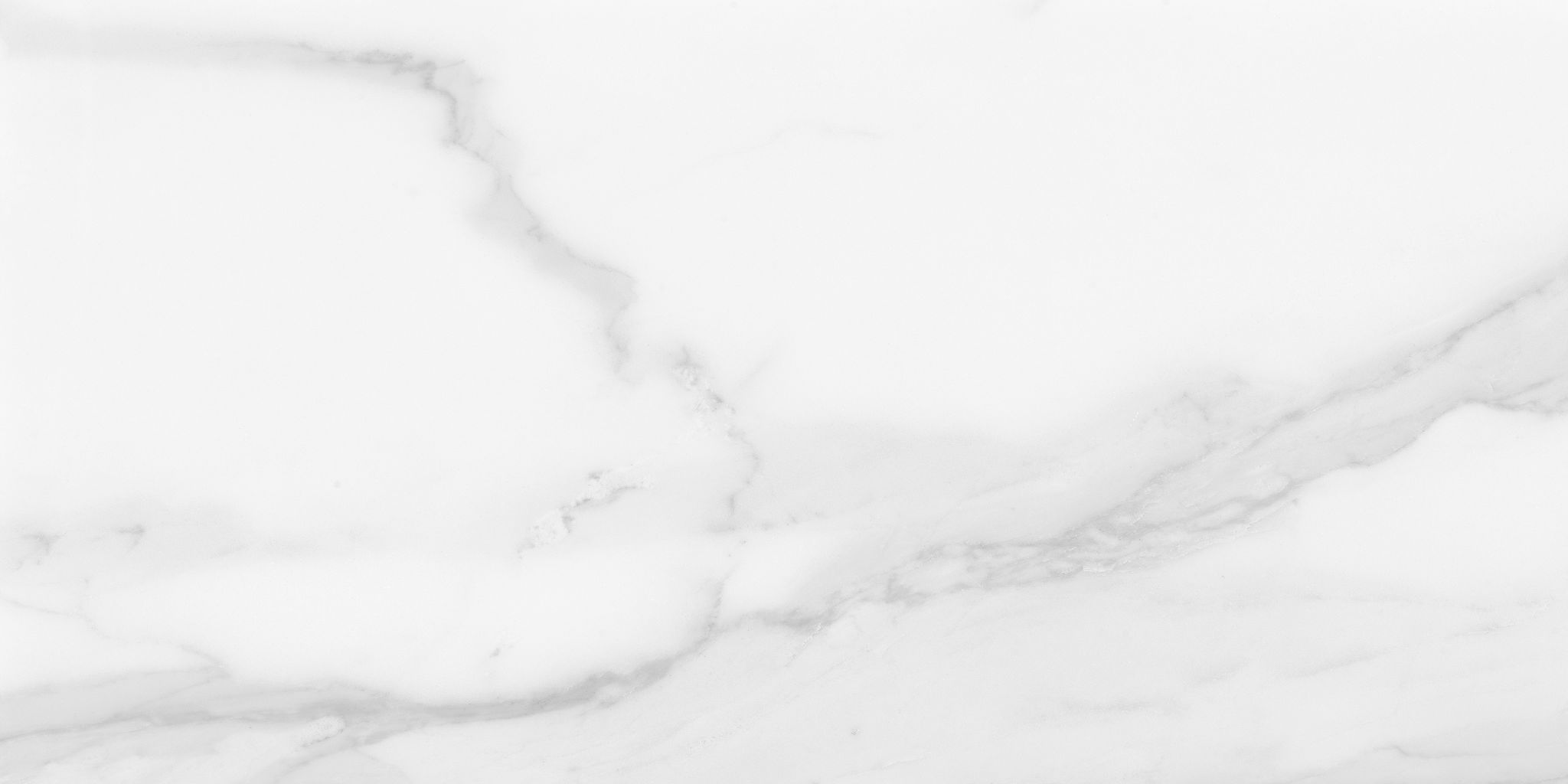 Plata 12x24 Statuario Brina Matte | Clon Digital Tile Catalog