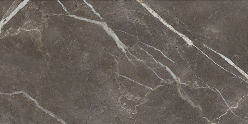 Royal Stoneworks 24X48 Regal Brown Marble Vintage Pv | Clon Digital Tile Catalog