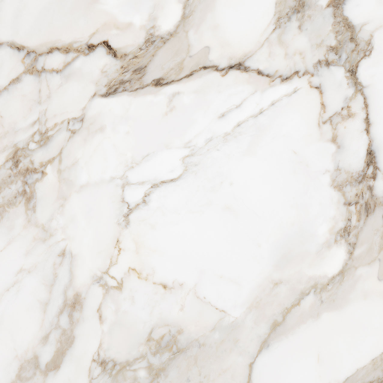 Royal Stoneworks 36X36 Calacatta Royale Polished | Clon Digital Tile Catalog