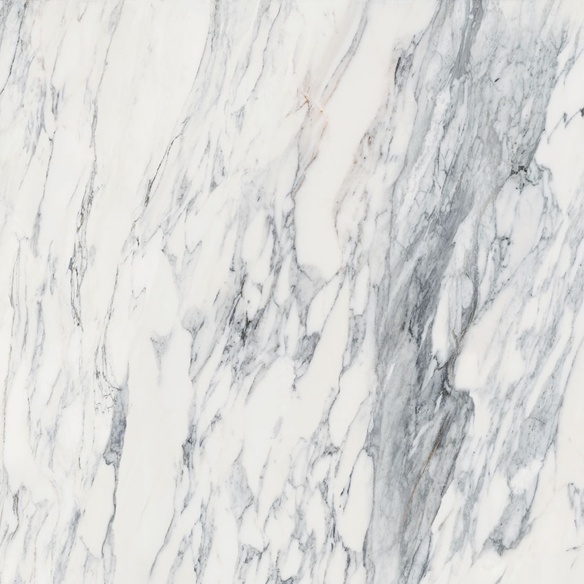 Royal Stoneworks 36X36 Regal White Vein Polished | Clon Digital Tile Catalog