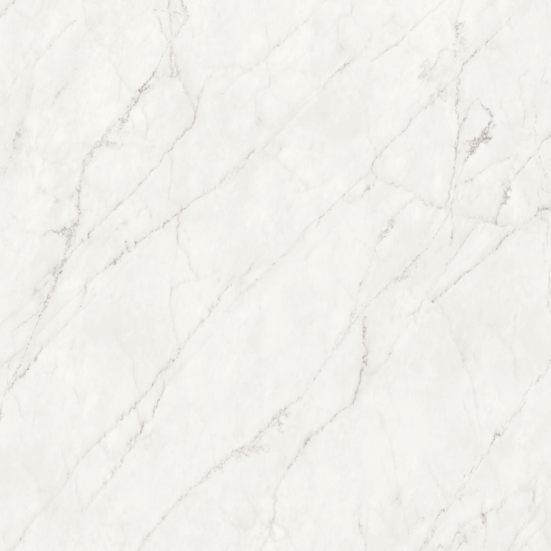 Royal Stoneworks 48X48 Cloudstone White Polished | Clon Digital Tile Catalog