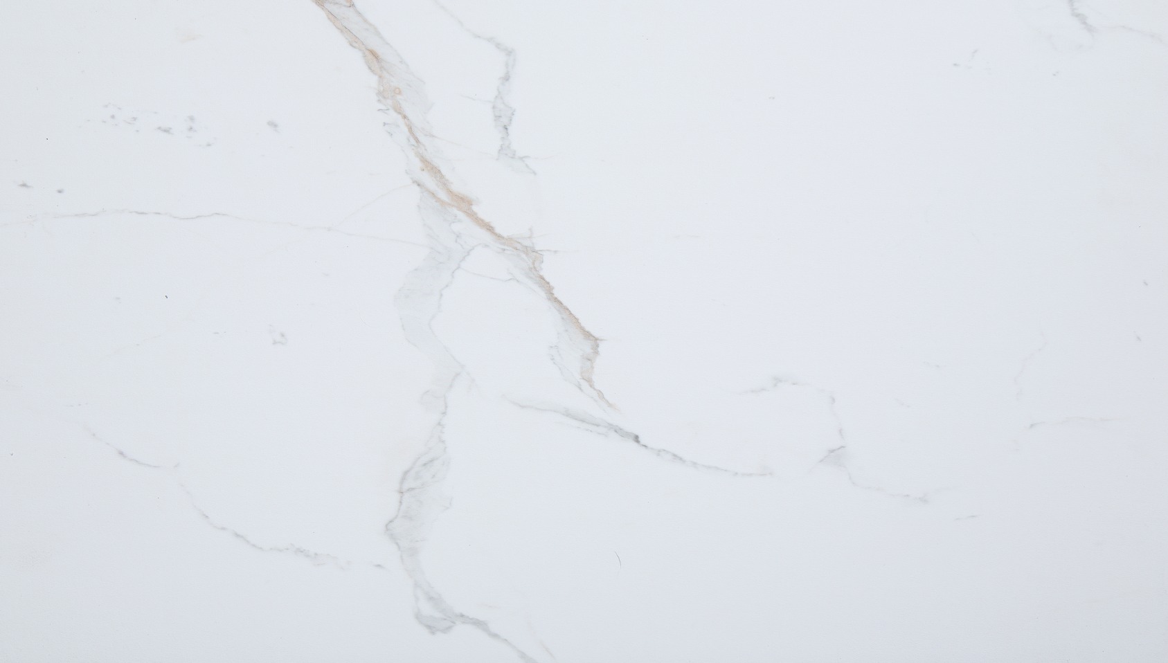 Carrara Marble Wall Tile 25x15 | Clon Digital Tile Catalog