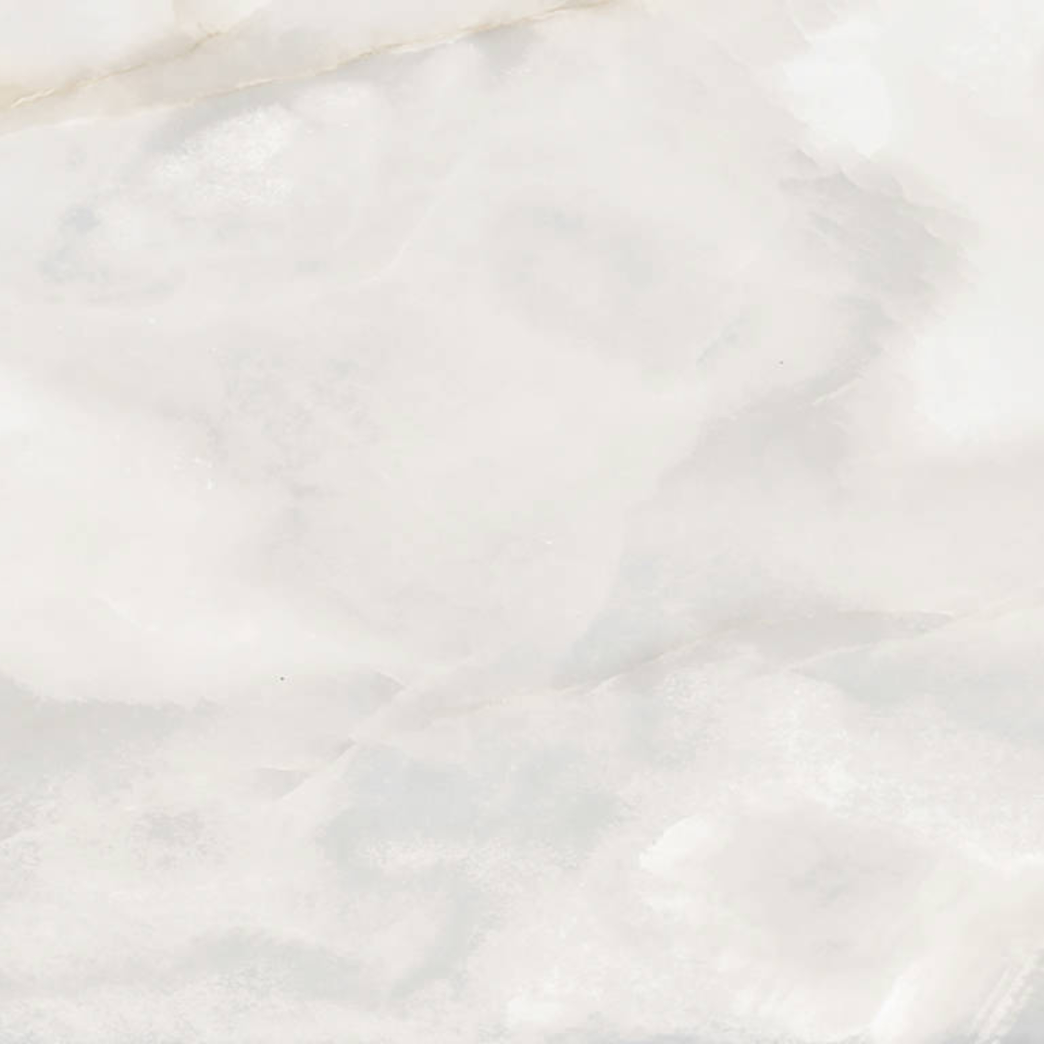 Rendezvous White Matte 24x24 | Clon Digital Tile Catalog